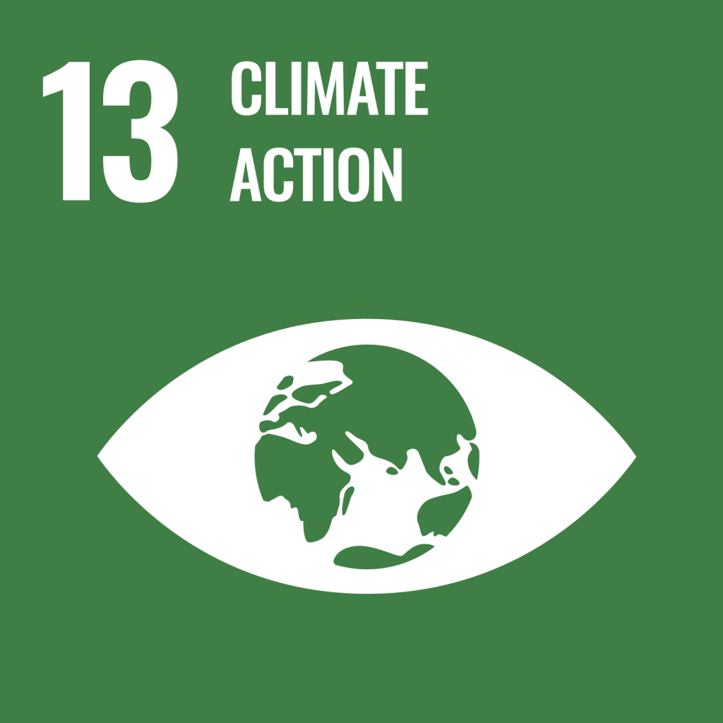Icon for the Sustainable Development Goal Climate action