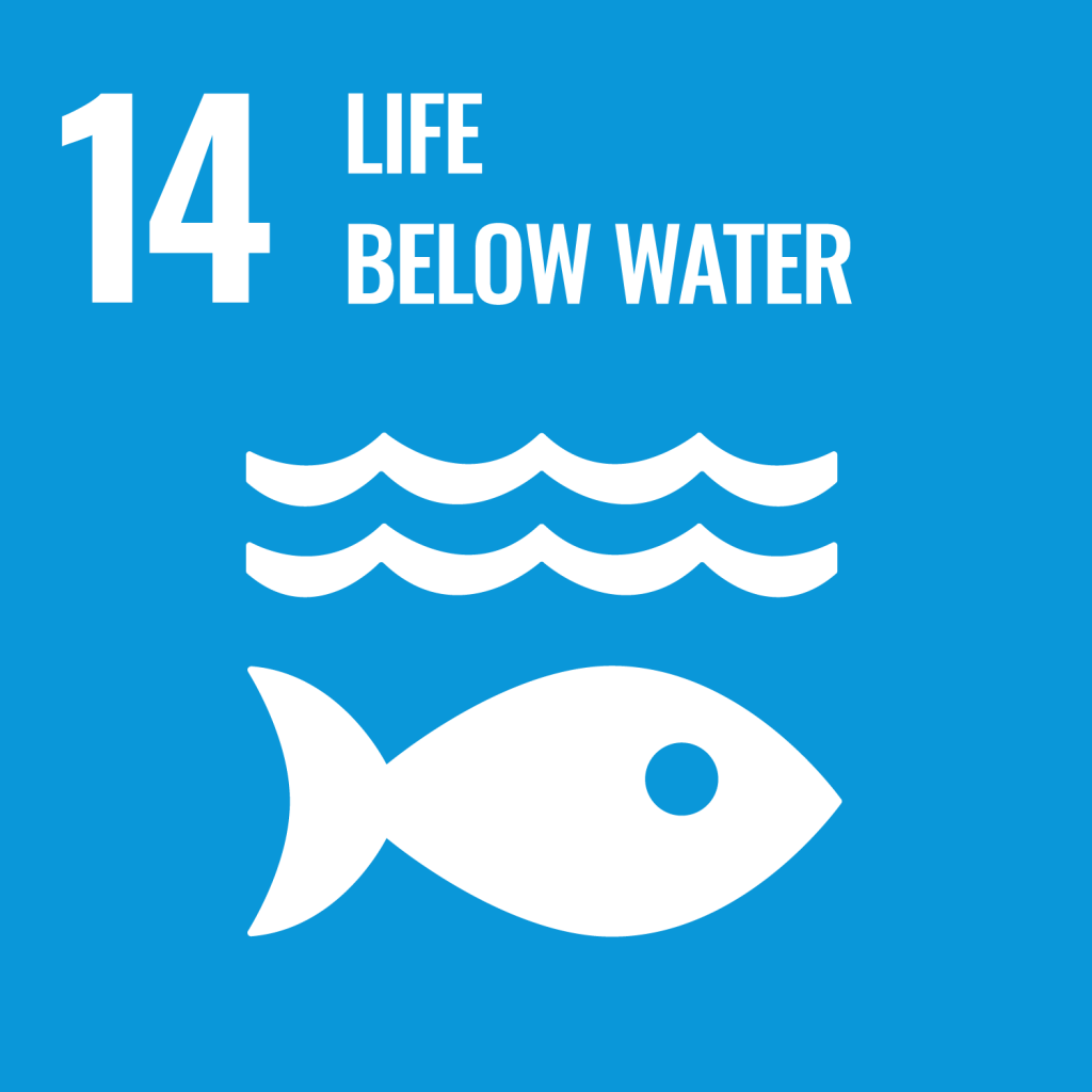 Icon for the Sustainable Development Goal Life below water